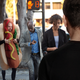 Image for article titled ‘It’s Just A Costume, It’s Just A Costume,’ Man Nervously Assures Himself As Giant Hot Dog Starts Walking Toward Him